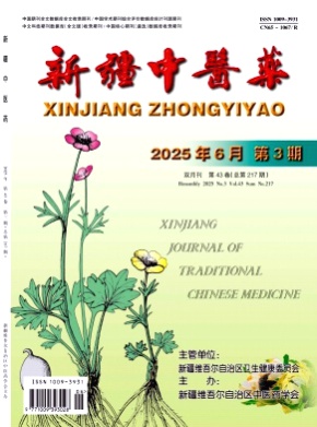 新疆中医药杂志